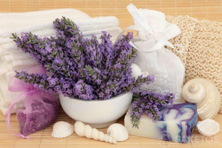 Lavendel cosmetica voor SPA thuis