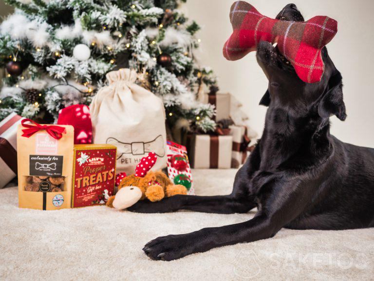 geschenkverpakkingen voor honden en katten