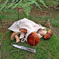 Zak à la linnen met print 22 x 30 cm - natuurlijke kleur / voor champignons (EN) Lifehack – slimme ideeën