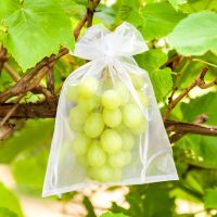 Organza zakjes 26 x 35 cm - groen Fruitzakken