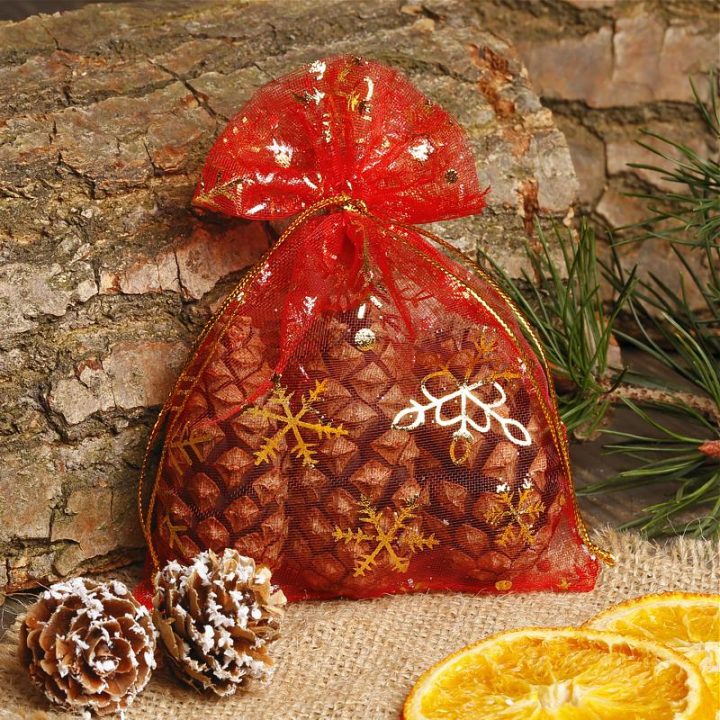 Organza zakjes 22 x 30 cm - Kerstmis Organza zakjes