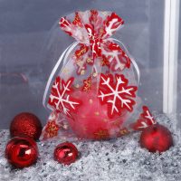 Organza zakjes 26 x 35 cm - Kerstmis / 1 Gelegenheden zakjes