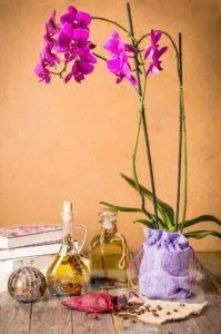 Een origineel cadeau voor grootmoeder- en grootvaderdag? Zakjes als seizoenshit! 7 Grootmoeder- en Grootvaderdag