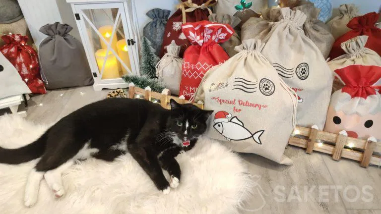 geschenkverpakkingen voor honden en katten