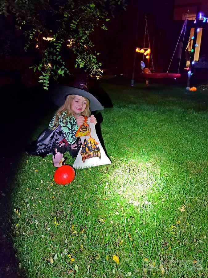 Halloween candy hunt, het zoeken naar snoep - Halloween speelplezier 8 Halloween-spellen voor kinderen - Halloween-snoepzakken