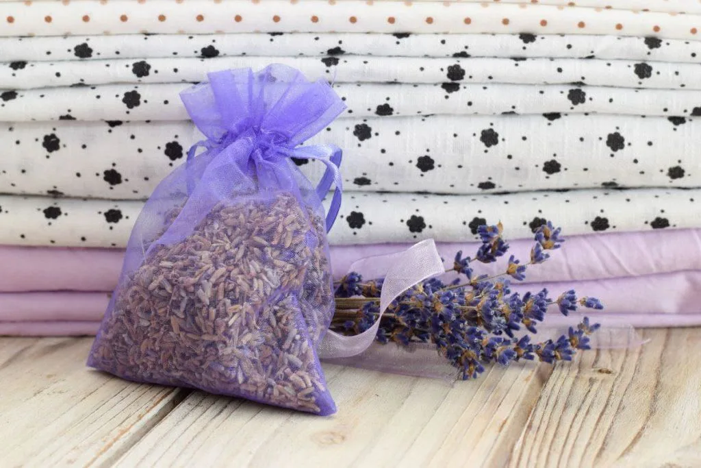 Lavendel - wanneer te oogsten, hoe te drogen en waarin te verpakken? 14