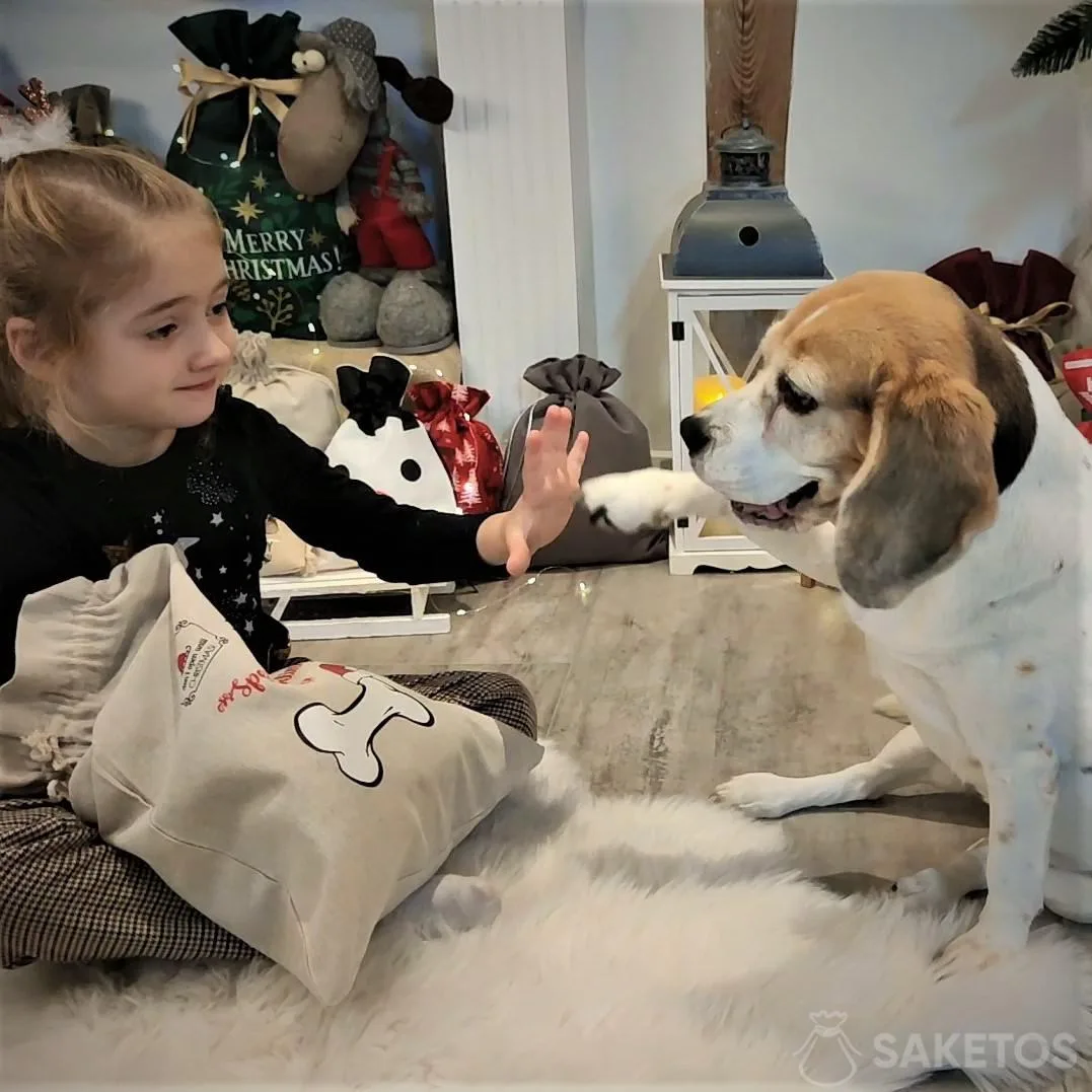 Hoe bewaar je traktaties en accessoires voor je huisdier? Gepersonaliseerde zakjes voor je huisdier 6 geschenkverpakkingen voor honden en katten